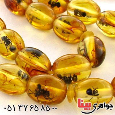تسبیح کهربا پودری حشره ای 33 دانه ای بیضی