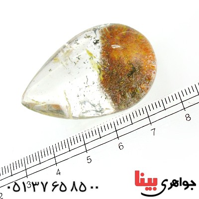 نگین انگشتر در منظره ای درشت با طرح خزان _کد:11746