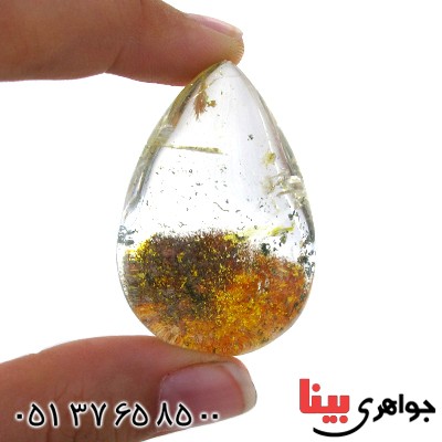 نگین انگشتر در منظره ای درشت با طرح خزان _کد:11746